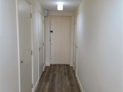 Picture 13